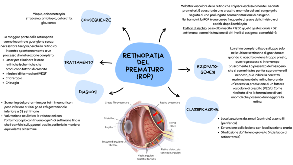 Grafica: retinopatia del prematuro (ROP) 