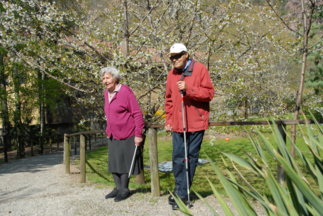 Passeggiata nel parco